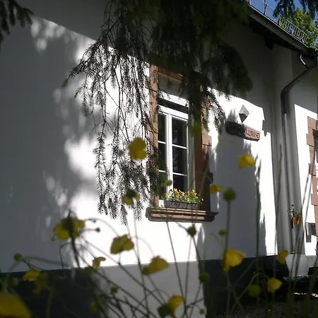 Apartment Ferienwohnung-schulsaal Orlenbach